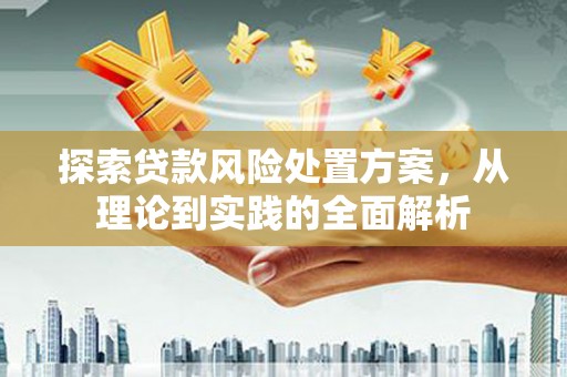馆陶探索贷款风险处置方案，从理论到实践的全面解析