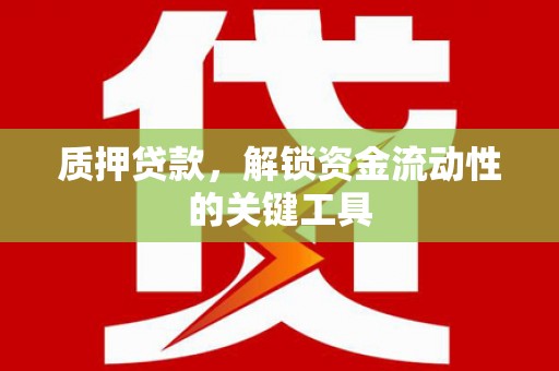 馆陶质押贷款，解锁资金流动性的关键工具