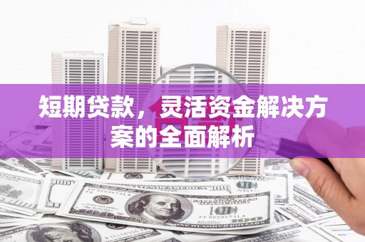 馆陶短期贷款，灵活资金解决方案的全面解析