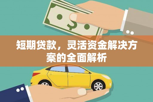 馆陶短期贷款，灵活资金解决方案的全面解析