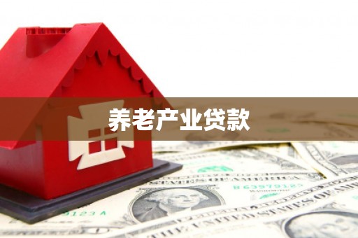 馆陶养老产业贷款