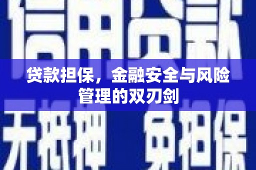 馆陶贷款担保，金融安全与风险管理的双刃剑