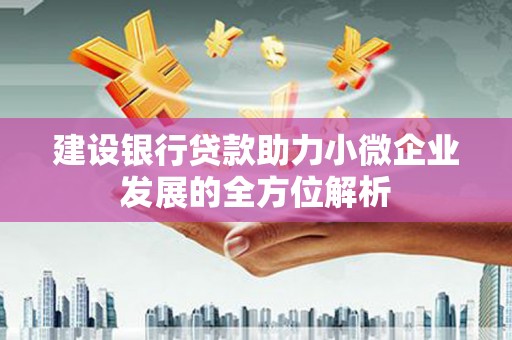馆陶建设银行贷款助力小微企业发展的全方位解析