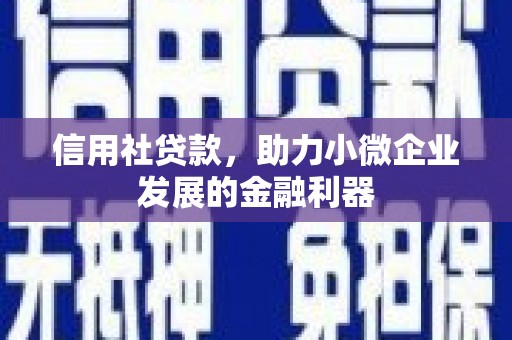 馆陶信用社贷款，助力小微企业发展的金融利器