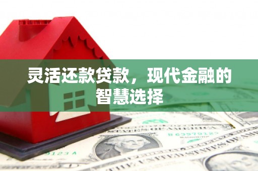 馆陶灵活还款贷款，现代金融的智慧选择