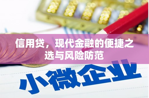 馆陶信用贷，现代金融的便捷之选与风险防范