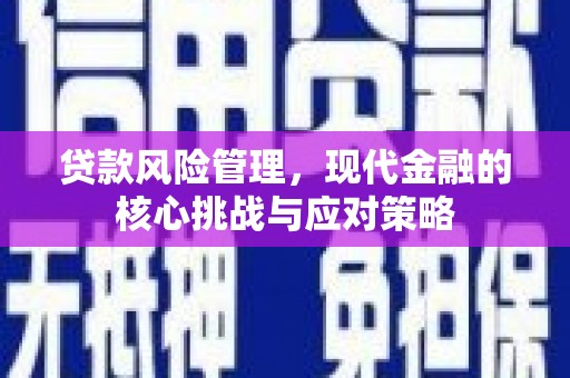 馆陶贷款风险管理，现代金融的核心挑战与应对策略