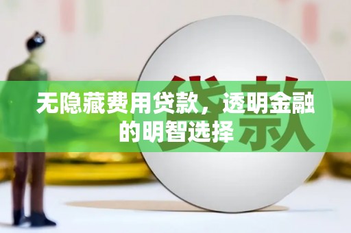 馆陶无隐藏费用贷款，透明金融的明智选择