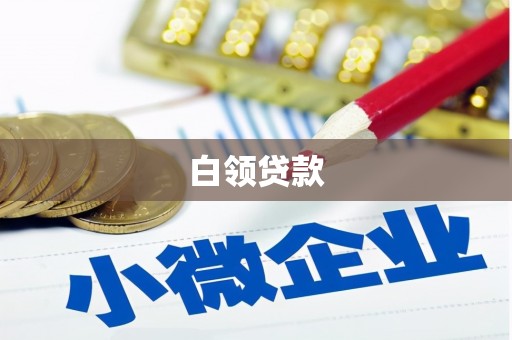 馆陶白领贷款