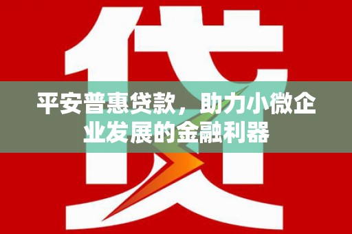 馆陶平安普惠贷款，助力小微企业发展的金融利器