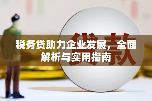 馆陶税务贷助力企业发展，全面解析与实用指南