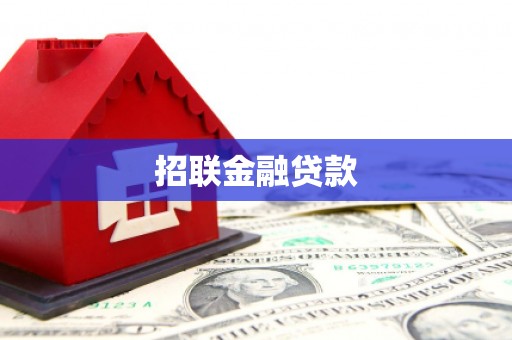 馆陶招联金融贷款