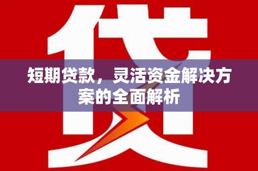 馆陶短期贷款，灵活资金解决方案的全面解析