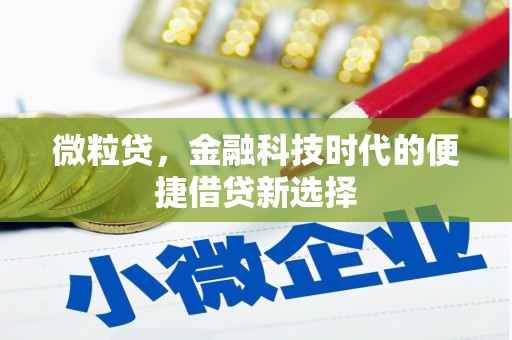 馆陶微粒贷，金融科技时代的便捷借贷新选择