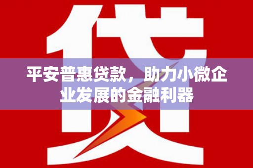 馆陶平安普惠贷款，助力小微企业发展的金融利器