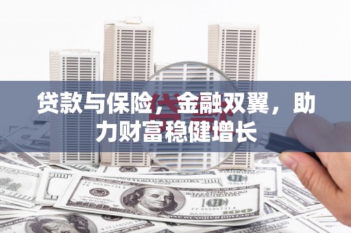 馆陶贷款与保险，金融双翼，助力财富稳健增长