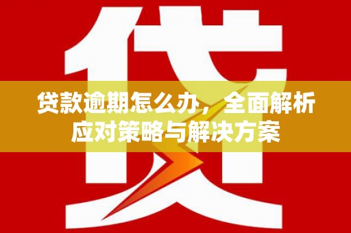 馆陶贷款逾期怎么办，全面解析应对策略与解决方案