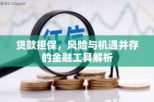 馆陶贷款担保，风险与机遇并存的金融工具解析