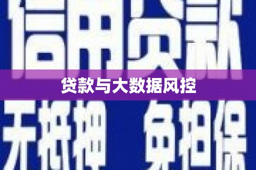 馆陶贷款与大数据风控