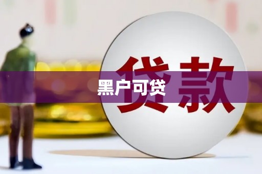 馆陶黑户可贷