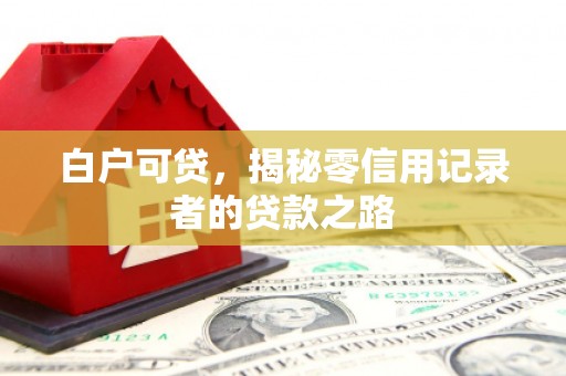 馆陶白户可贷，揭秘零信用记录者的贷款之路