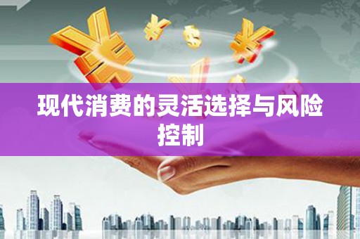 馆陶现代消费的灵活选择与风险控制