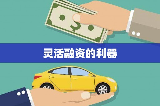 馆陶灵活融资的利器