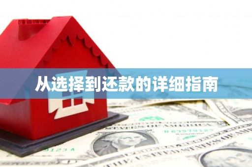 馆陶从选择到还款的详细指南