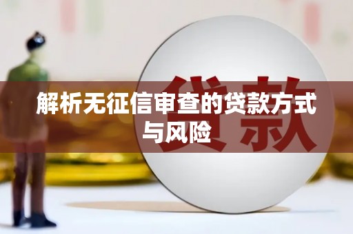 馆陶解析无征信审查的贷款方式与风险