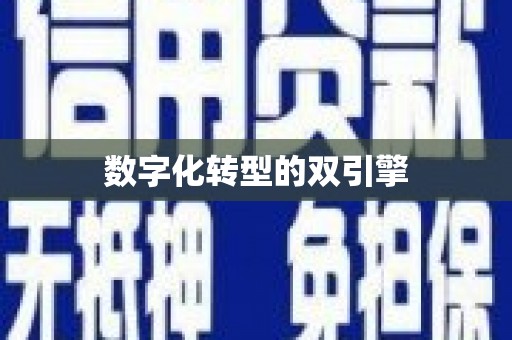 馆陶数字化转型的双引擎