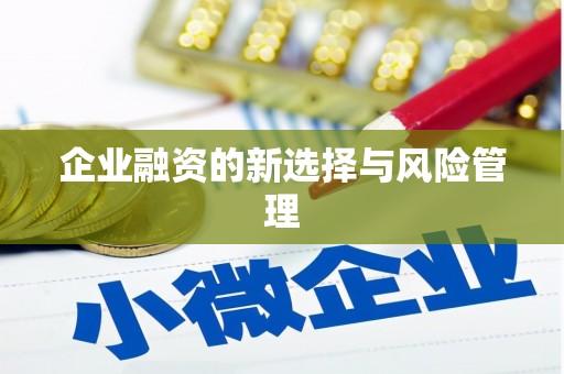 馆陶企业融资的新选择与风险管理