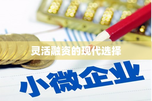 馆陶灵活融资的现代选择