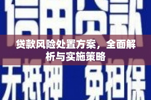 馆陶贷款风险处置方案，全面解析与实施策略
