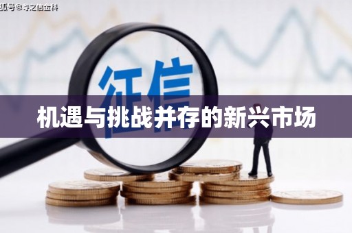馆陶机遇与挑战并存的新兴市场