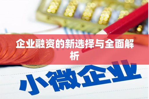 馆陶企业融资的新选择与全面解析