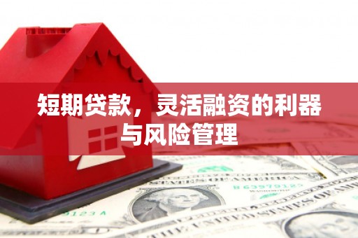 馆陶短期贷款，灵活融资的利器与风险管理