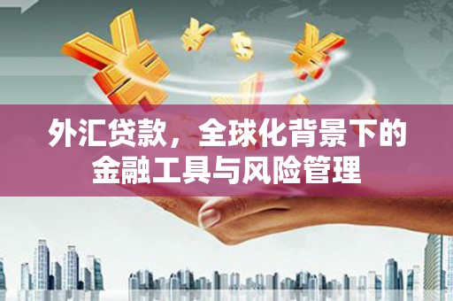 馆陶外汇贷款，全球化背景下的金融工具与风险管理